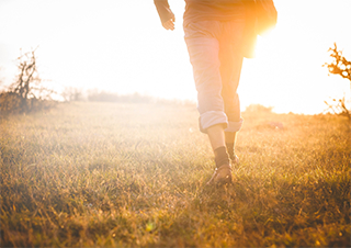 Bright, fresh, energetic